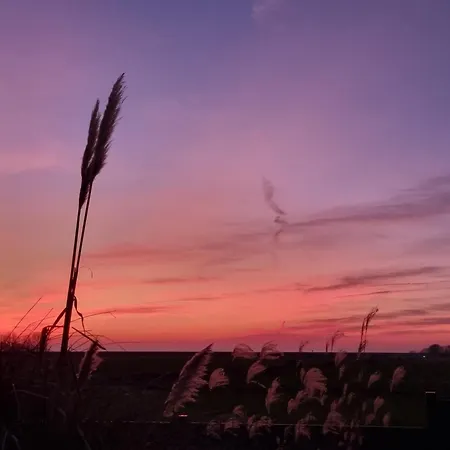 Deichblick Nordseekueste Bremerhaven Imsum